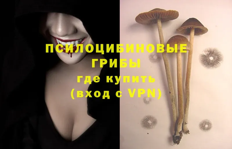 Псилоцибиновые грибы Psilocybe  hydra рабочий сайт  Осташков  где купить наркоту 